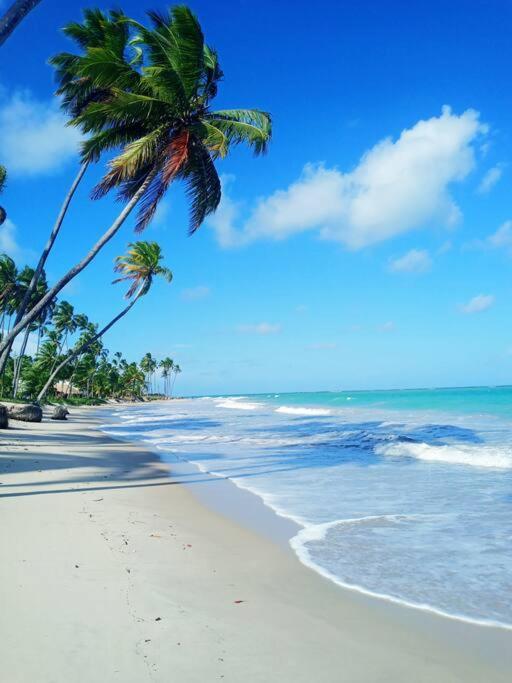 Apartamento Praia Dos Carneiros Tamandaré Exterior foto